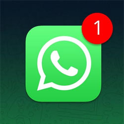 Ces smartphones ne pourront plus utiliser WhatsApp à partir du 1er janvier 2025 Ces smartphones ne pourront plus utiliser WhatsApp à partir du 1er janvier 2025