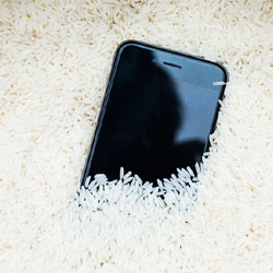 iPhone tombé à l'eau : le mythe du riz et les conseils d'Apple iPhone tombé à l'eau : le mythe du riz et les conseils d'Apple