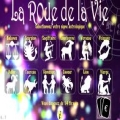 L�application � La roue de la vie � disponible sur iPhone et iPad