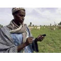 La croissance du marché du mobile se poursuit en Afrique La croissance du marché du mobile se poursuit en Afrique
