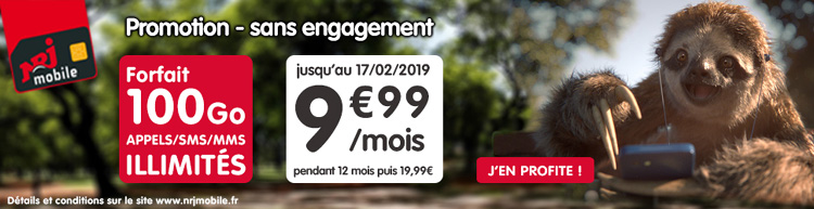 NRJ Mobile propose son forfait Woot en série limitée 100 Go à 9.99 € par mois NRJ Mobile propose son forfait Woot en série limitée 100 Go à 9.99 € par mois