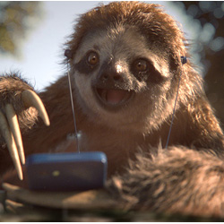 NRJ Mobile propose son forfait Woot en s�rie limit�e 100 Go � 9.99 � par mois