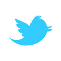 Windows Phone 8 : Microsoft annonce une mise  jour pour Twitter 