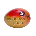 WP7 Mango : la mise à jour est déjà disponible aux développeurs WP7 Mango : la mise à jour est déjà disponible aux développeurs